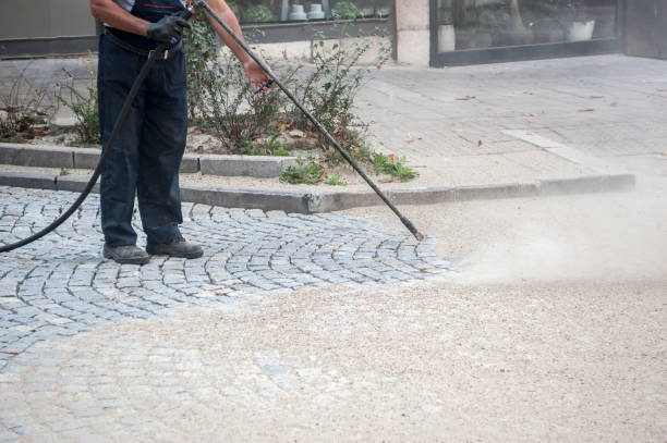Best Driveway Pressure Washing  in Thorofare, NJ